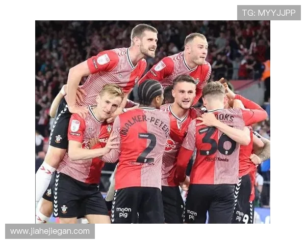 南安普顿俱乐部宣布新赛季阵容调整 重点引援助力冲击英冠冠军 南安普顿俱乐部宣布新赛季阵容调整 重点引援助力冲击英冠冠军