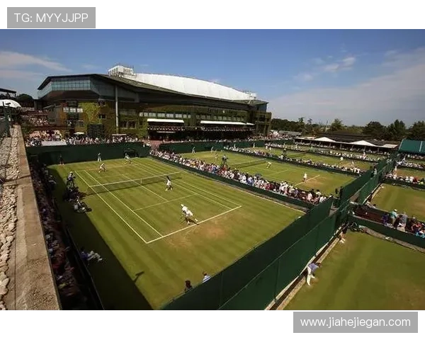 红土与草地网球场地差异解析及对比赛风格的影响