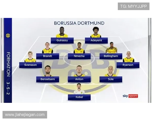 普鲁士多特蒙德俱乐部的辉煌历史与未来发展展望