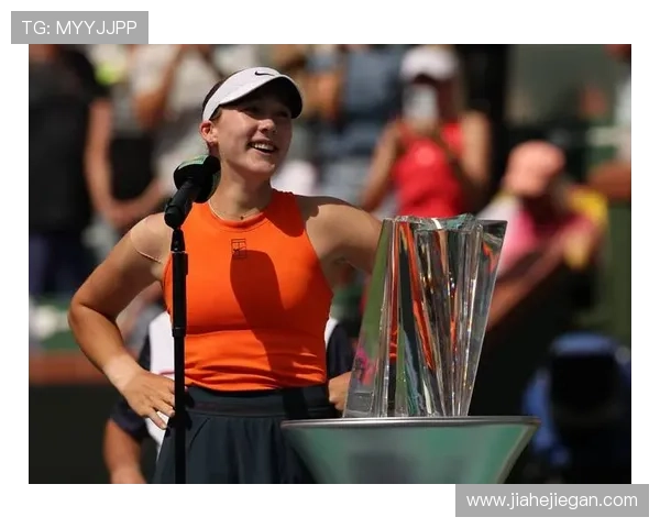 网球赛季最新动态：新星崛起与老将争锋，赛场精彩纷呈