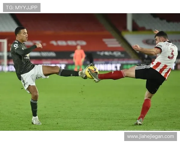 谢菲联足球俱乐部发展历程与球队文化深度剖析